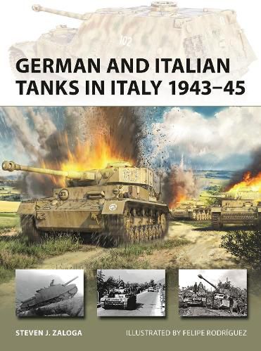Cover image for German and Italian Tanks in Italy 1943-45