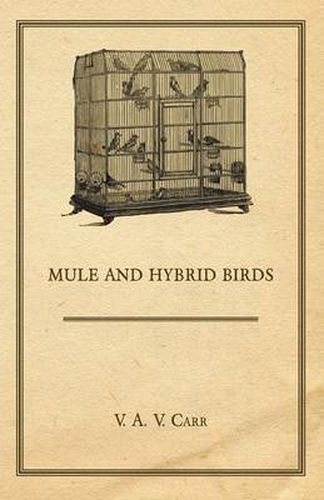 Cover image for Mule and Hybrid Birds