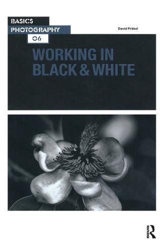 Cover image for Working in Black & White