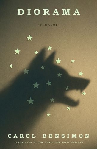 Cover image for Diorama