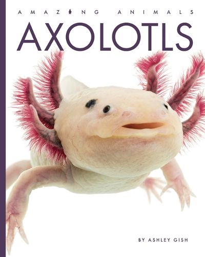 Cover image for Axolotls