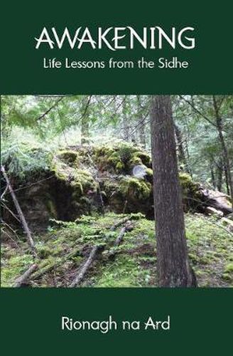 Cover image for Awakening: Life Lessons from the Sidhe