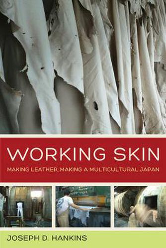 Cover image for Working Skin: Making Leather, Making a Multicultural Japan