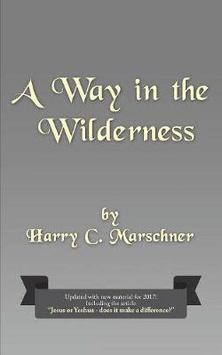 Cover image for A Way in the Wilderness