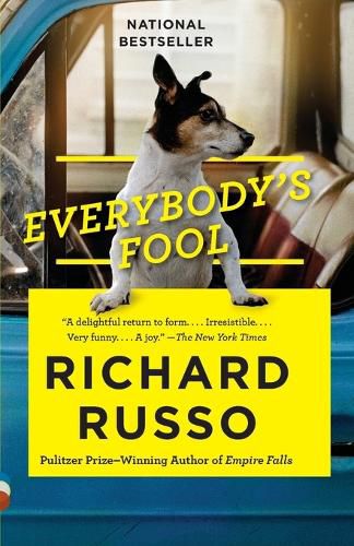 Cover image for Everybody's Fool: A Novel