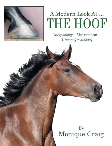 Cover image for A Modern Look At ... THE HOOF: Morphology Measurement Trimming Shoeing