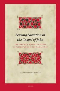 Cover image for Sensing Salvation in the Gospel of John