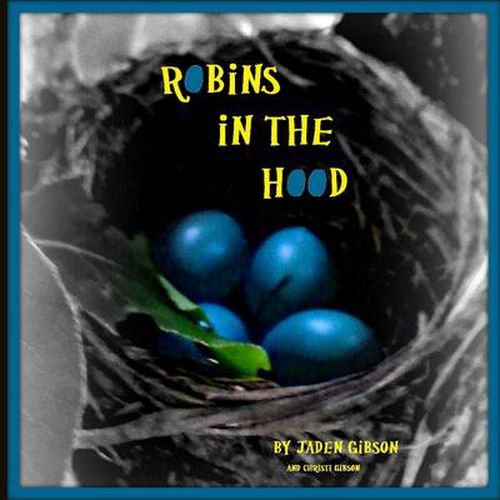 Cover image for Robins in the Hood