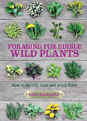 Foraging for Edible Wild Plants: How to Identify, Cook and Enjoy Them