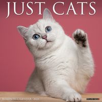 Cover image for Just Cats 2025 12 X 12 Wall Calendar