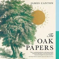 Cover image for The Oak Papers Lib/E