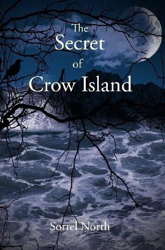 Cover image for The Secret of Crow Island