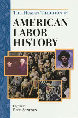 Cover image for The Human Tradition in American Labor History