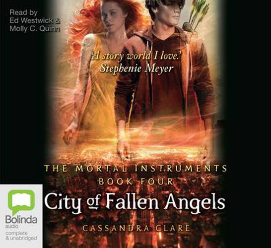 Cover image for City Of Fallen Angels