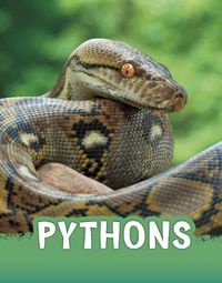 Cover image for Pythons