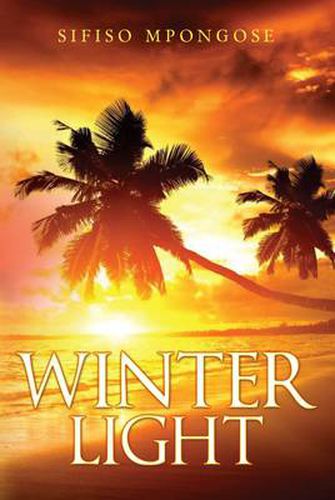 Cover image for Winter Light