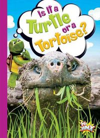 Cover image for Is It a Turtle or a Tortoise?