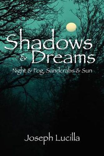 Cover image for Shadows and Dreams