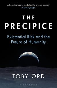 Cover image for The Precipice: 'A book that seems made for the present moment' New Yorker