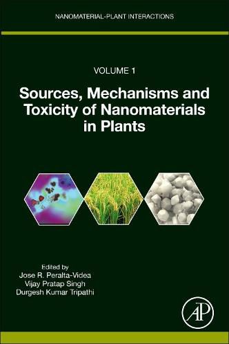 Sources, Mechanisms and Toxicity of Nanomaterials in Plants