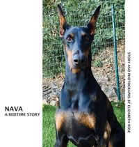 Cover image for Nava