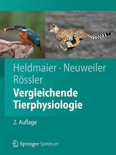 Cover image for Vergleichende Tierphysiologie