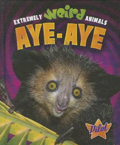 Cover image for Aye-Aye