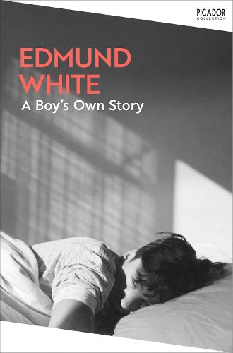 Cover image for A Boy's Own Story