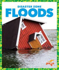 Cover image for Floods