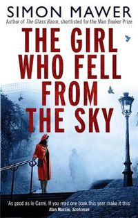 Cover image for The Girl Who Fell From The Sky