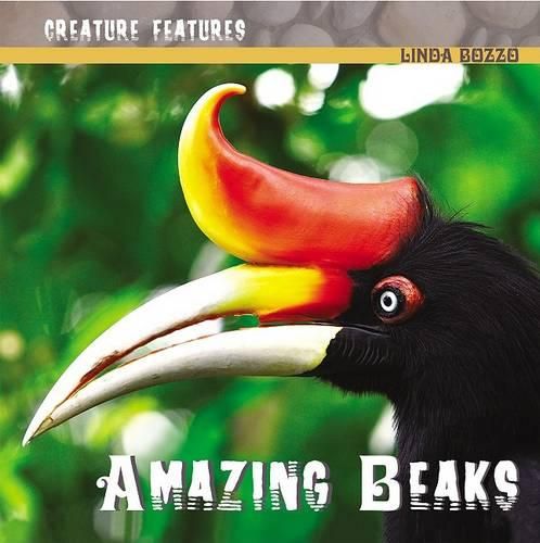 Amazing Beaks