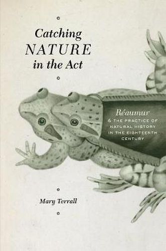 Cover image for Catching Nature in the Act