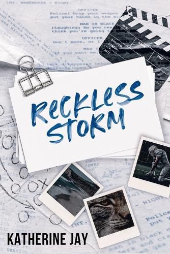 Cover image for Reckless Storm