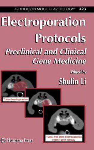 Cover image for Electroporation Protocols: Preclinical and Clinical Gene Medicine