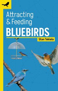 Cover image for Attracting & Feeding Bluebirds