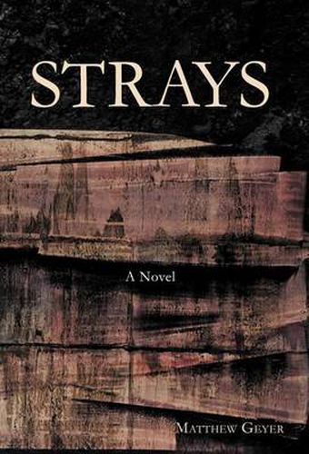 Cover image for Strays