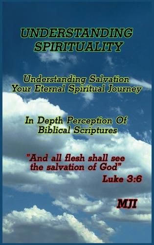 Cover image for Understanding Spirituality