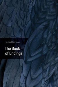Cover image for The Book of Endings