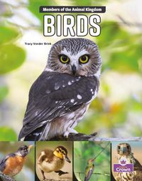 Cover image for Birds