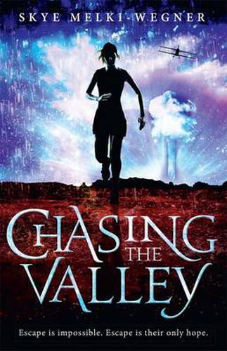Cover image for Chasing the Valley