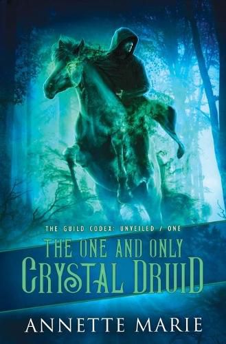 Cover image for The One and Only Crystal Druid