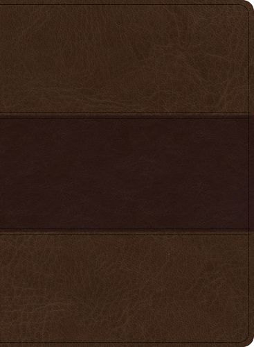 KJV Study Bible, Large Print Edition, Saddle Brown Leathertouch