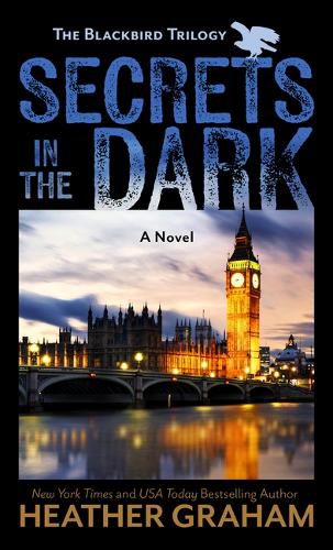 Cover image for Secrets in the Dark