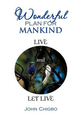 Cover image for Wonderful Plan for Mankind