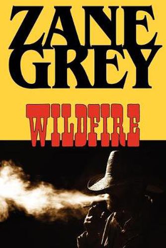 Cover image for Wildfire