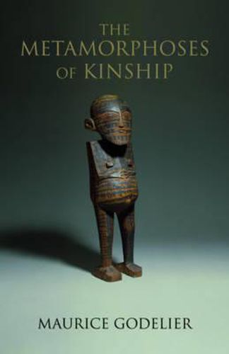 Cover image for The Metamorphoses of Kinship