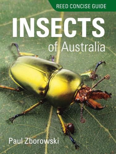 Cover image for Reed Concise Guide to Insects of Australia