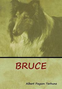 Cover image for Bruce