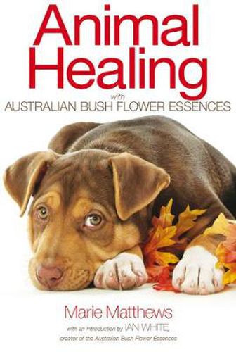 Cover image for Animal Healing with Australian Bush Flower Essences