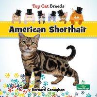 Cover image for American Shorthair